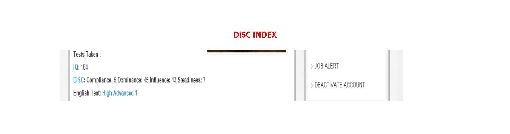 disc personality testing